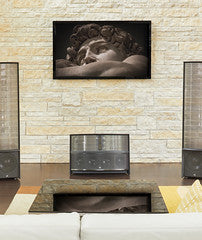 Martin Logan Illusion ESL C34A