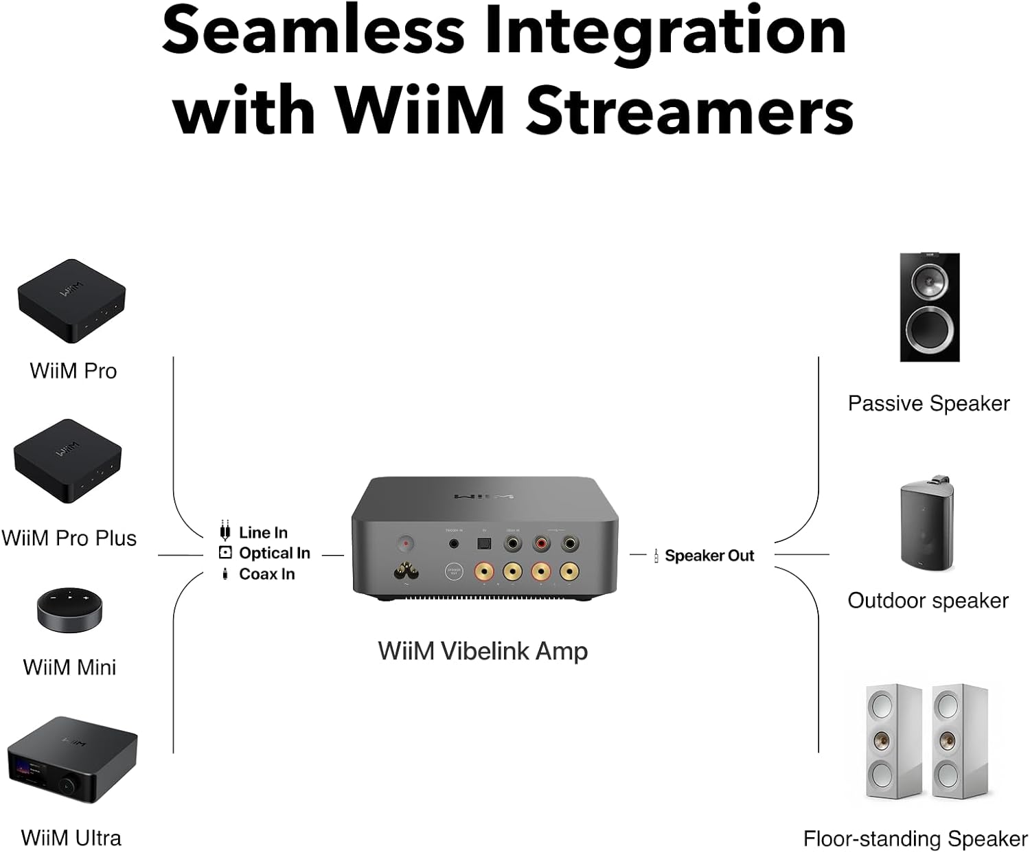 WiiM Vibelink