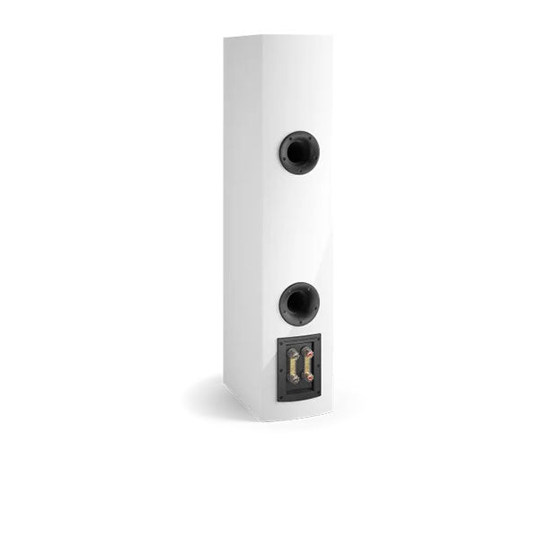 RUBICON-6 Floor Standing Speaker pair