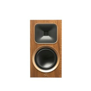 Martin Logan Motion Foundation B1