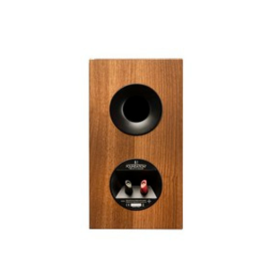 Martin Logan Motion Foundation B1