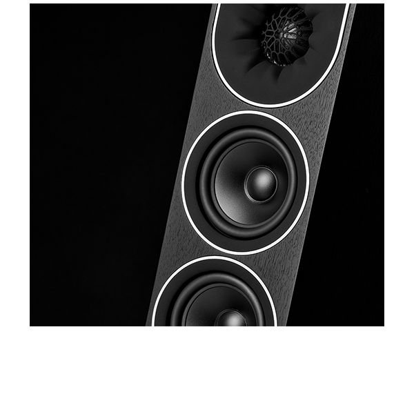 PMC prophecy 9 Floorstanding speakers