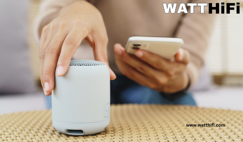 outdoor speaker