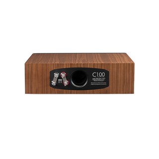 Martin Logan Motion XT C100