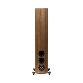 Martin Logan Motion Foundation F2