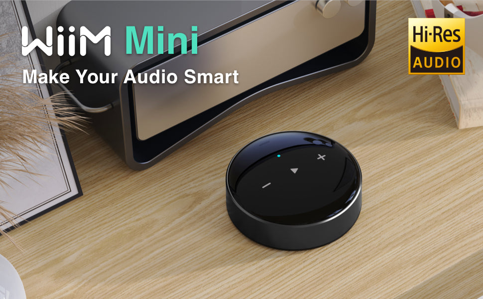 その他 wiim mini The $99 Wiim Mini Network Streamer Aims to Eat Some Pi