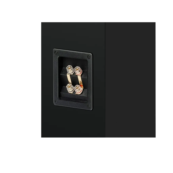 Pro-Ject Audio Systems Speaker Box 12 E Carbon 