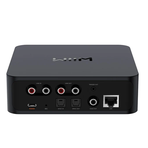 WiiM  Pro Plus img5